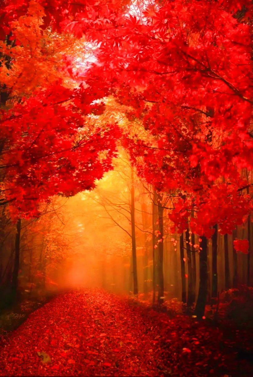 Omer Aziz tweet media