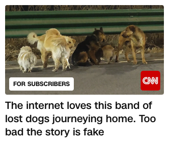 Amr Elnahla tweet media