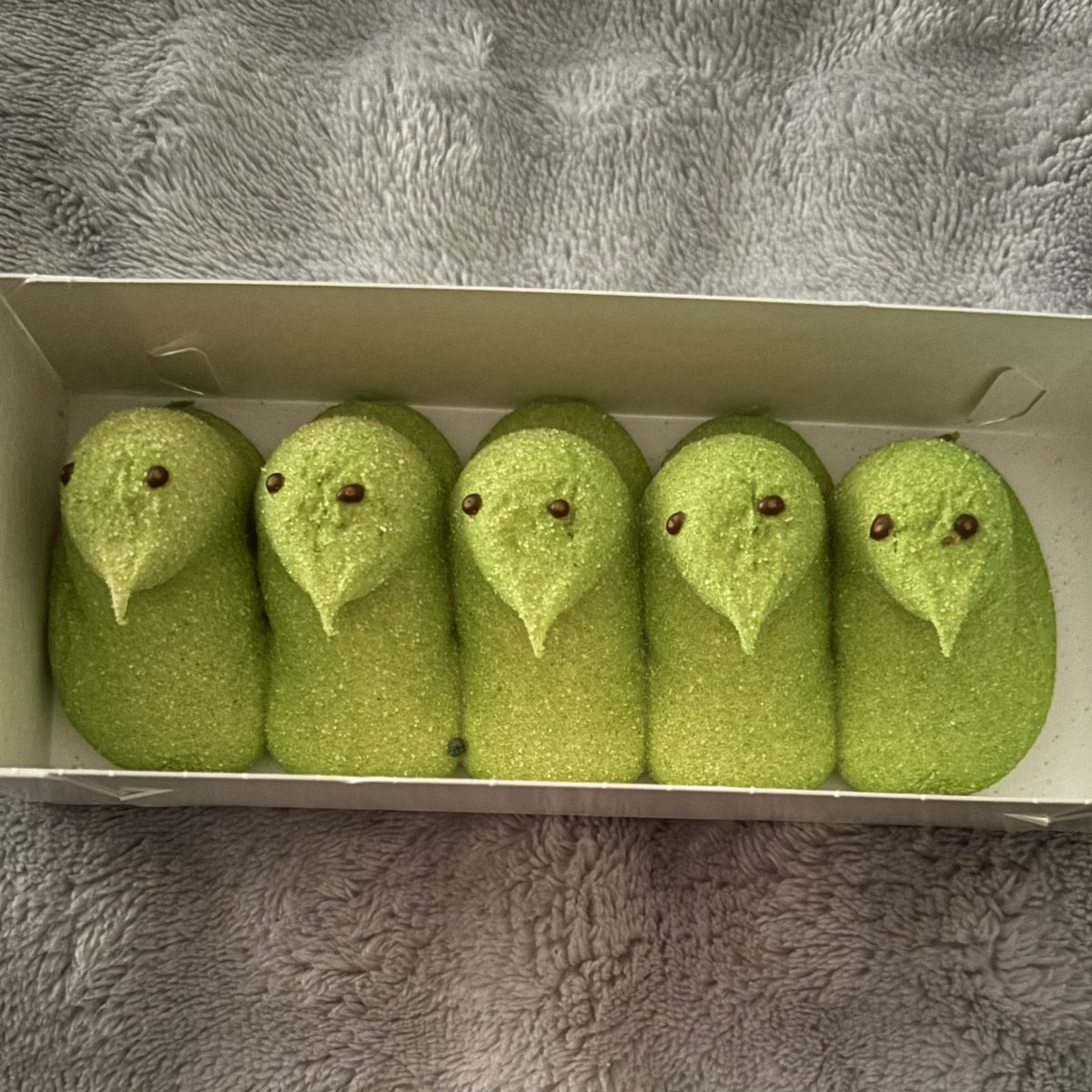 ☘︎ akira of shedtwt tweet media