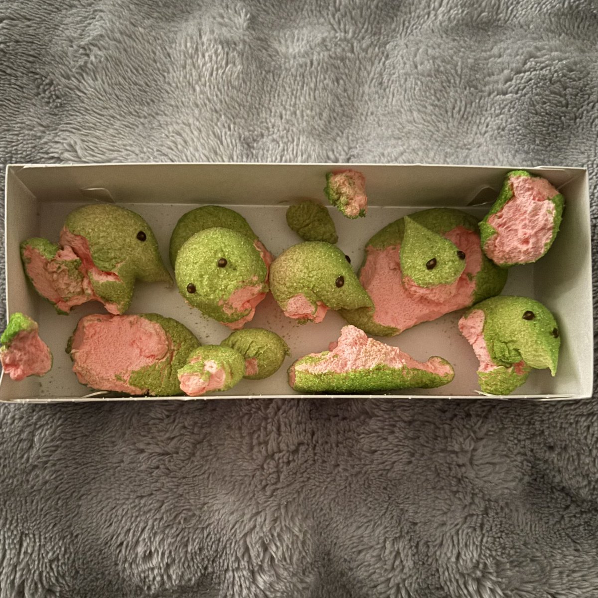 ☘︎ akira of shedtwt tweet media