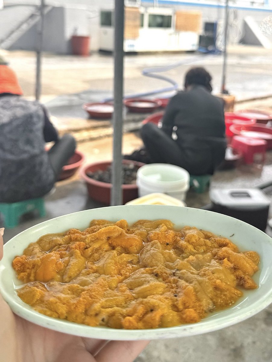 Nimo🩵 tweet media