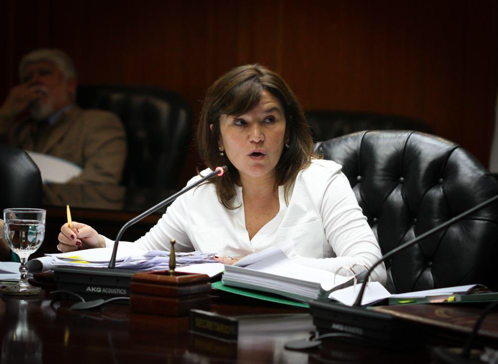 Inés Brizuela y Doria tweet media