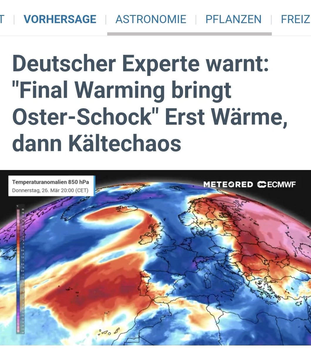 Der Mutbürger 🇩🇪🕊 tweet media