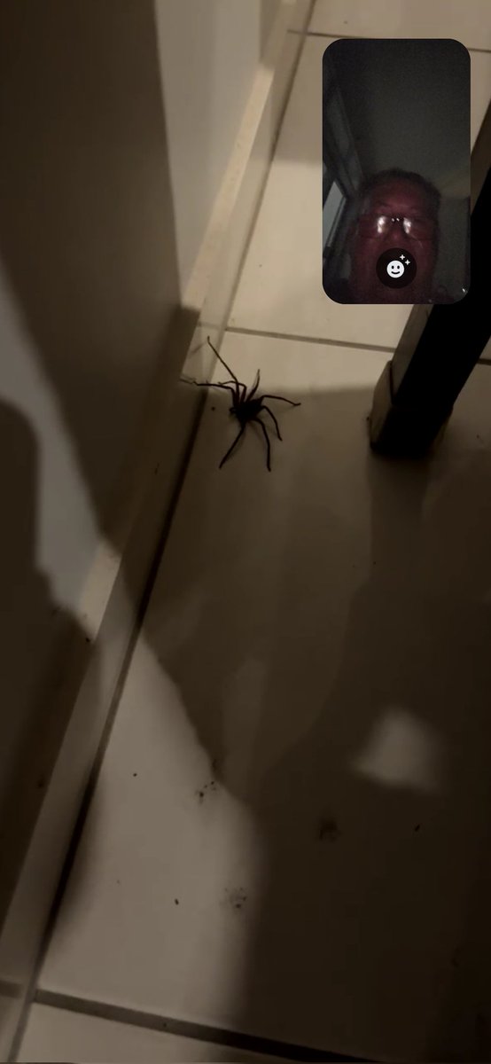 🔥 Todd Ridiculous 🦕 tweet media