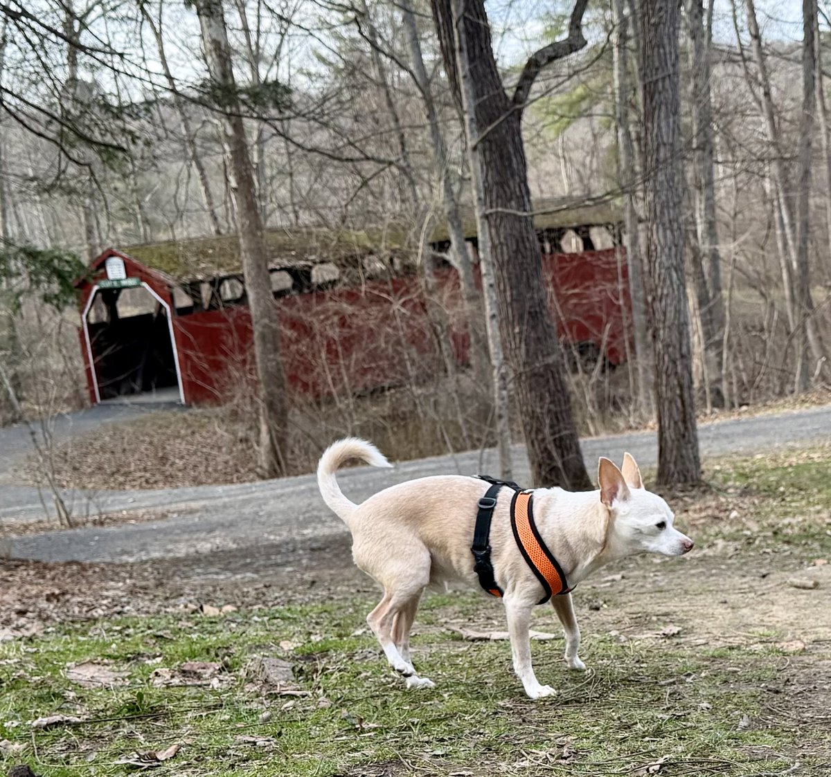 JackJack’s Journal tweet media