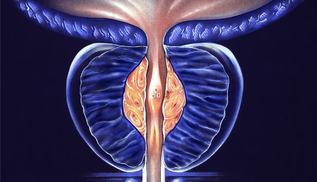 Martín Cañás tweet media