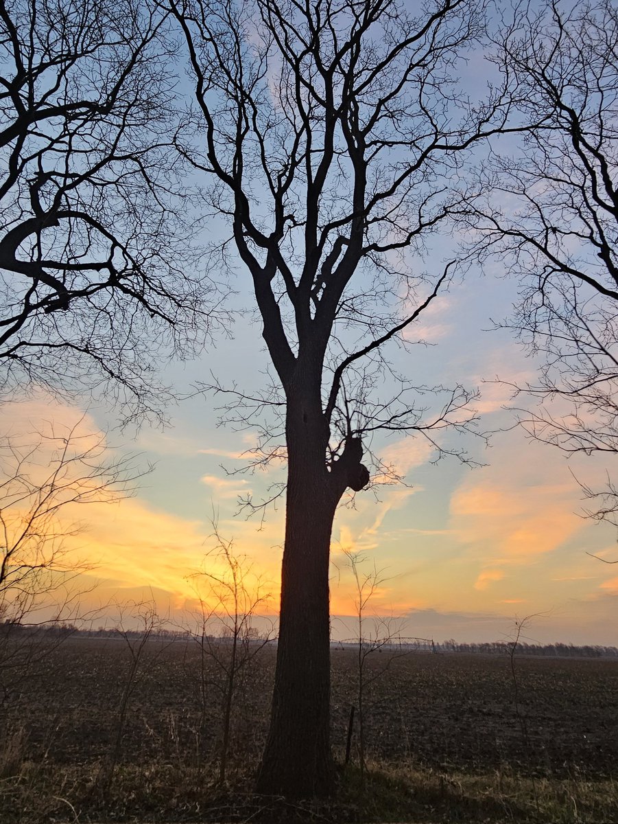 CJ Howard tweet media