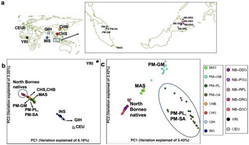 Editor, Annals of Human Genetics tweet media