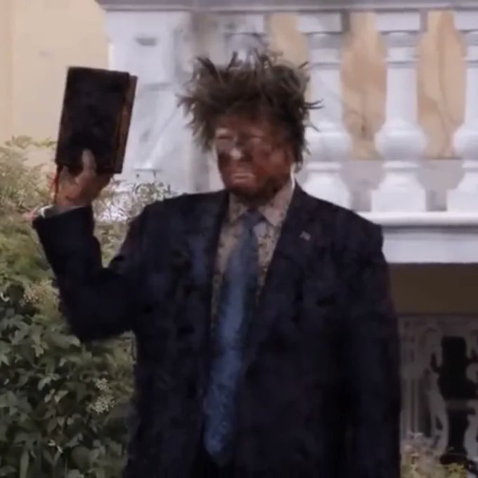 🔥Toonces Resists Again🔥 tweet media