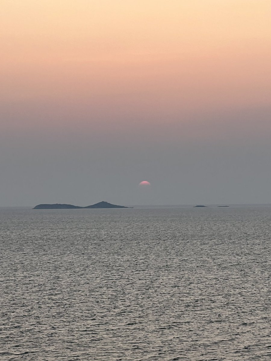 ธารตะวรรณ tweet media