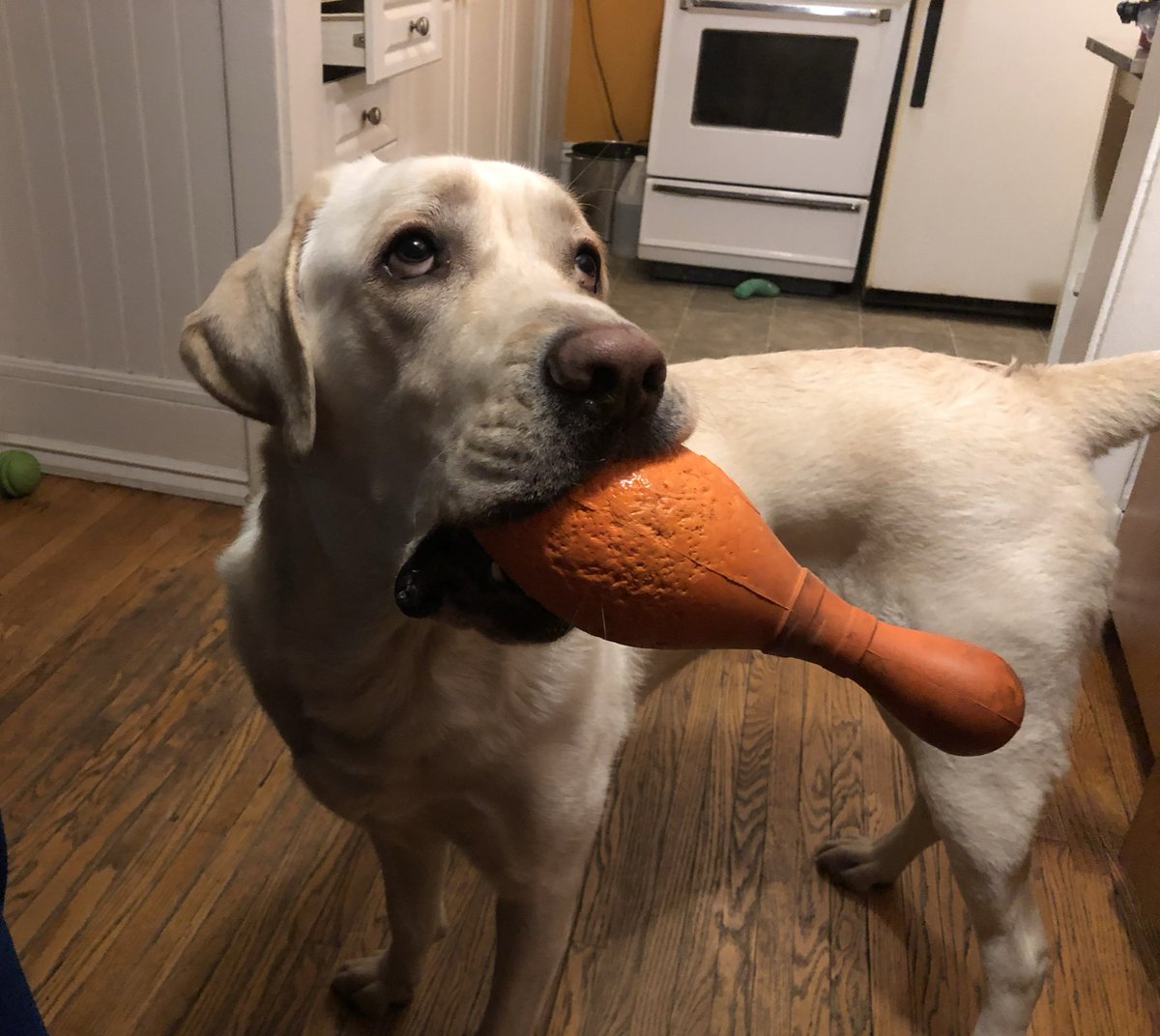 Back in the old apartment about 7 years ago waiting to play some tug. Who wants to play? #ThrowbackThursday