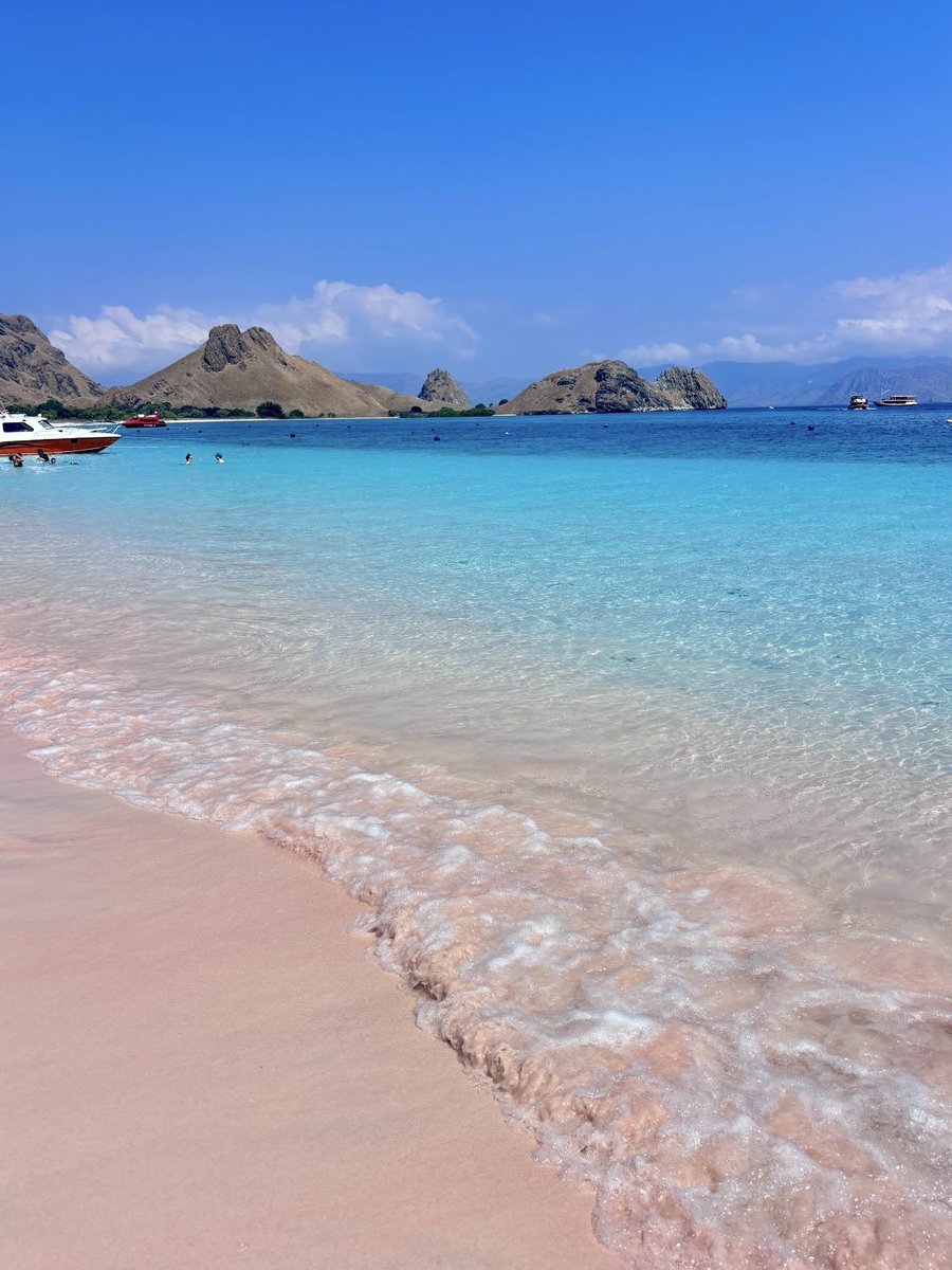 Noorie lova tweet media