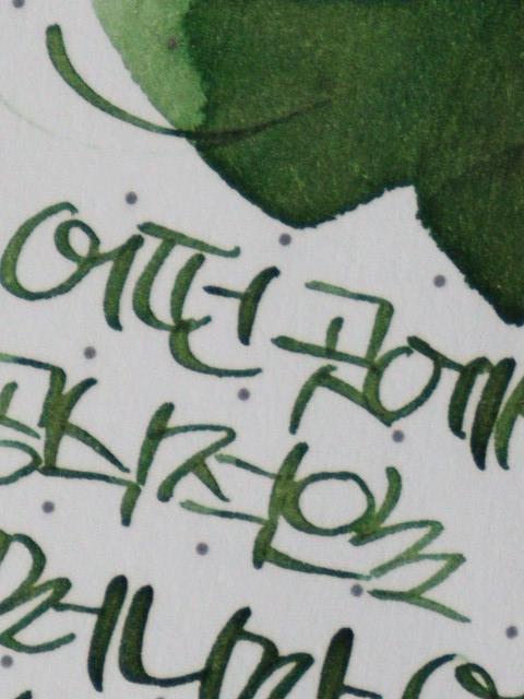 🌿 상록의정 tweet media