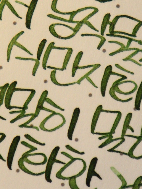 🌿 상록의정 tweet media