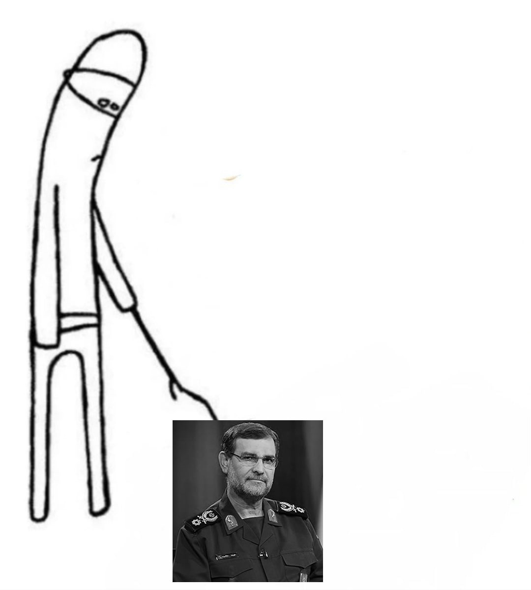 موژی tweet media