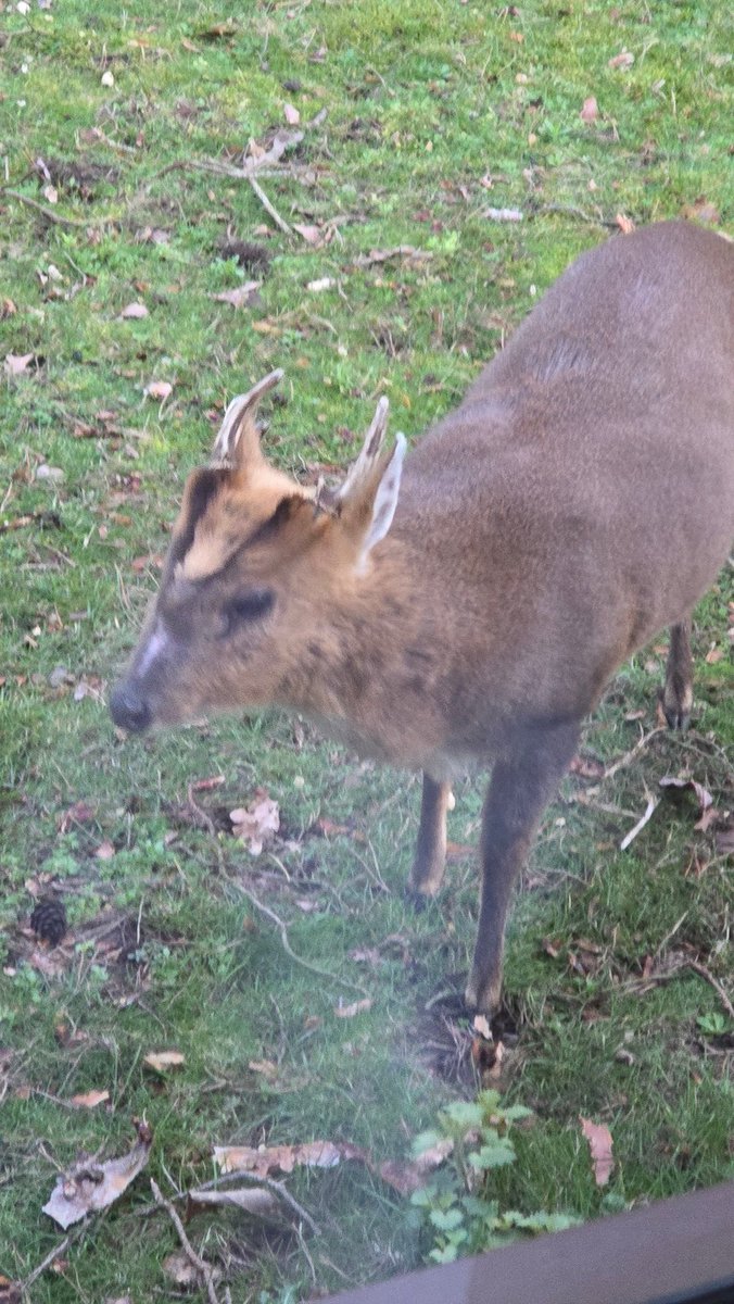 Lia Mope 💙💗 (on holiday) tweet media