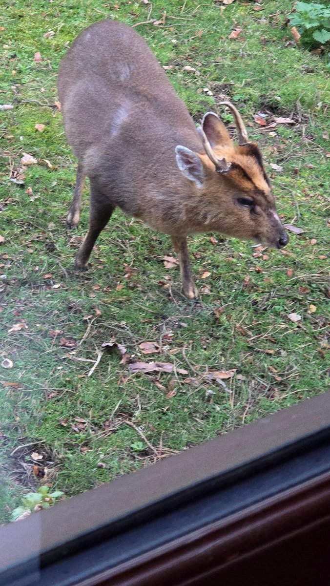 Lia Mope 💙💗 (on holiday) tweet media