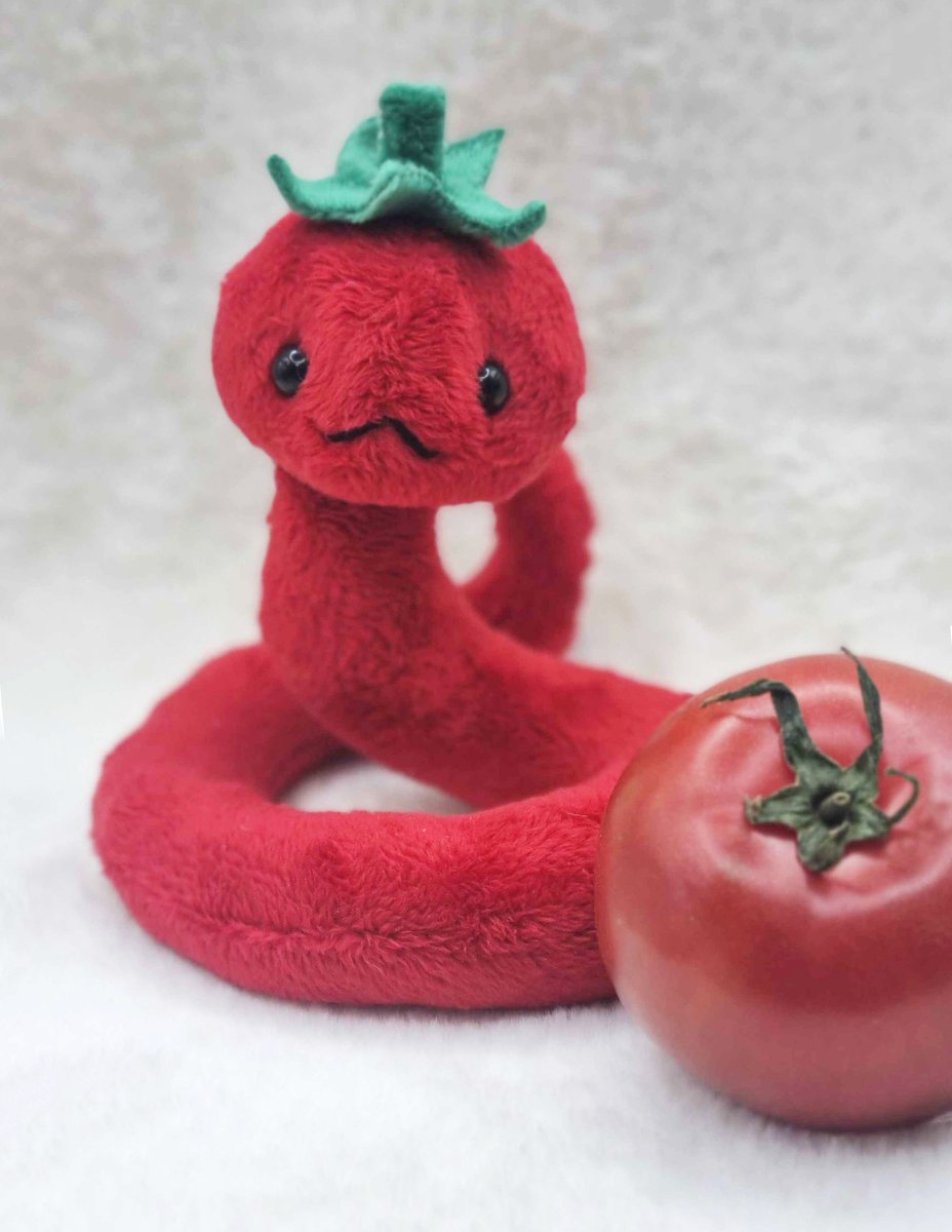 꼬누비 tweet media