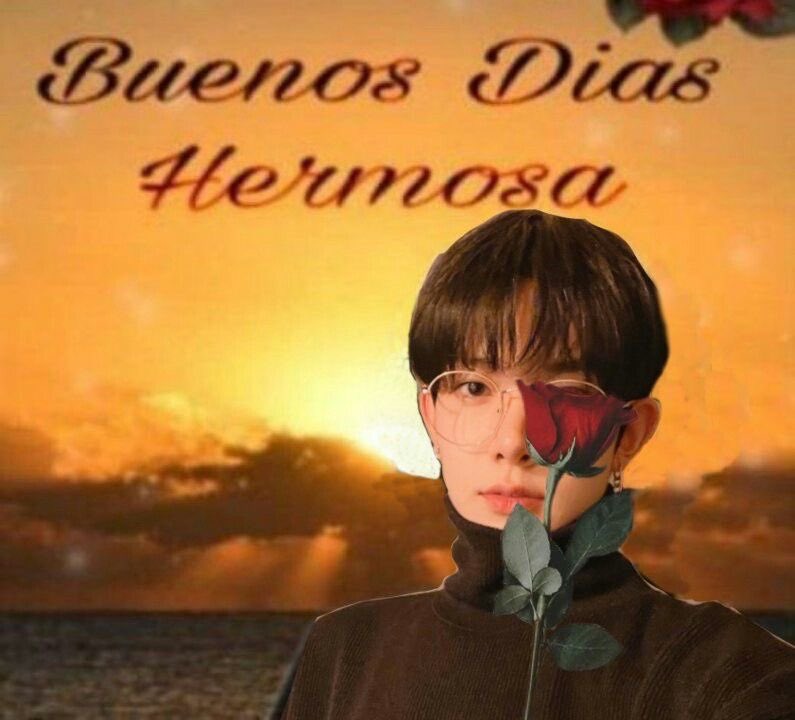 bian 🪽 ENHYPEN IS 7 tweet media