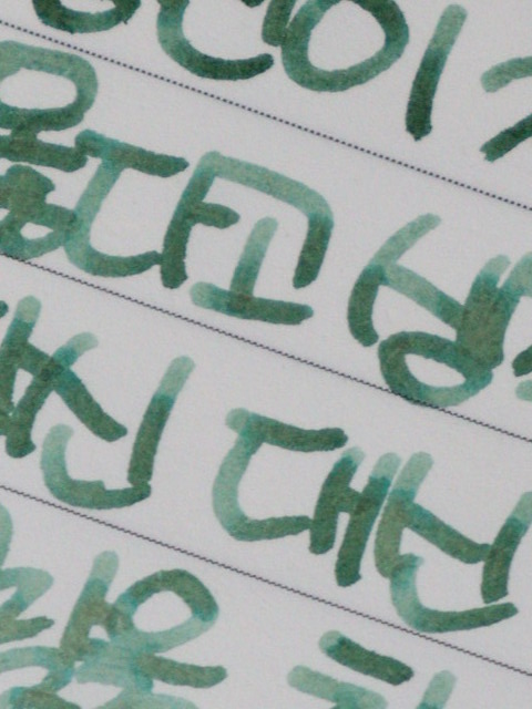 🌿 상록의정 tweet media