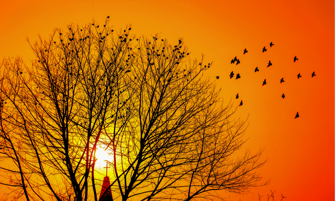 earl goosby jr tweet media