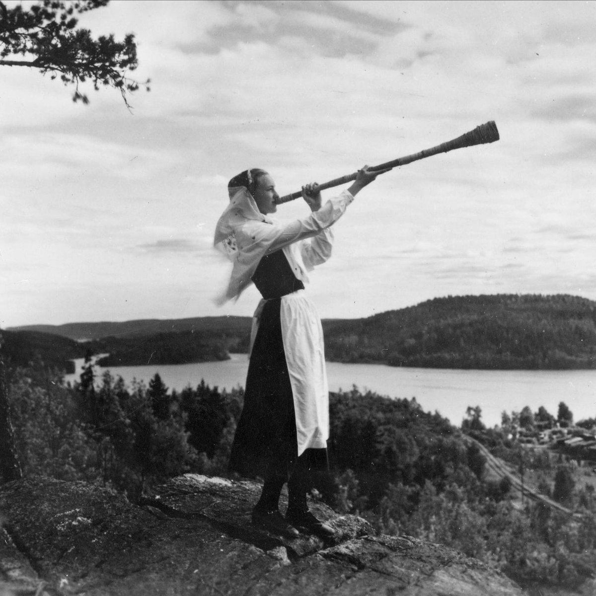 Return to Your Roots tweet media