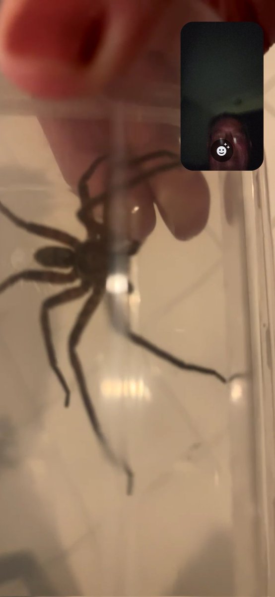 🔥 Todd Ridiculous 🦕 tweet media