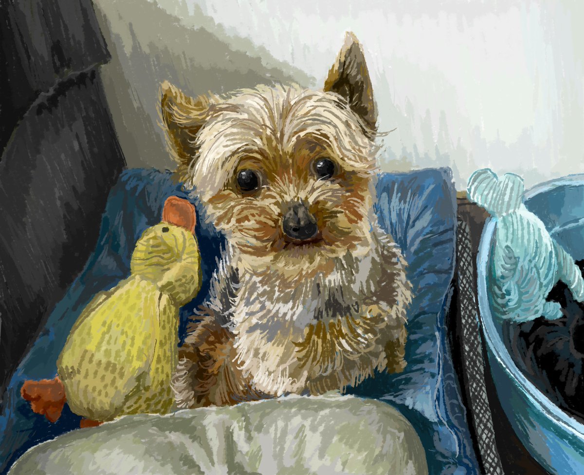 玉溪琳 tweet media