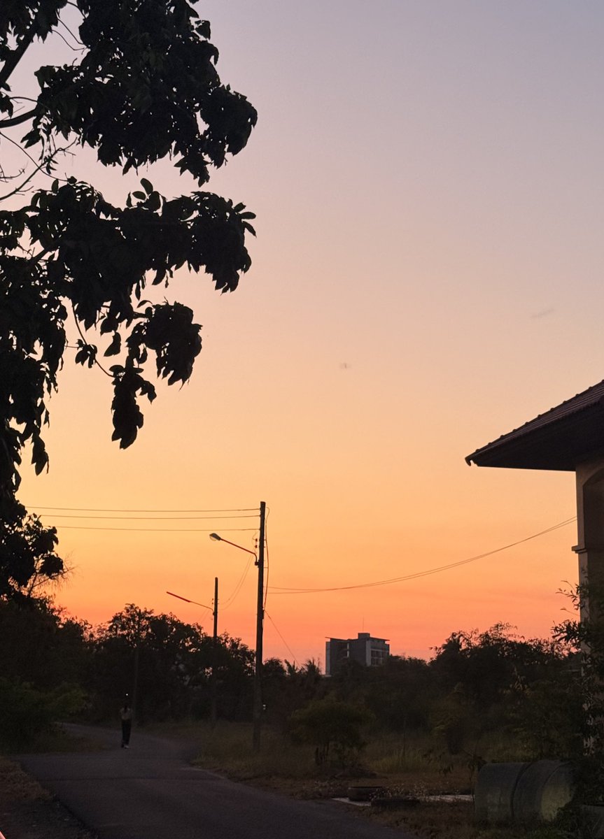 bunnybook — (🐰) tweet media