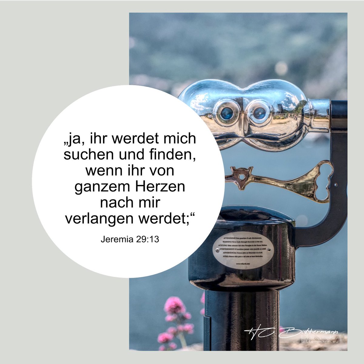 HC Bittermann 🕊️ tweet media