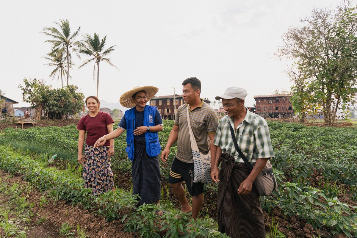 UNDP Myanmar tweet media