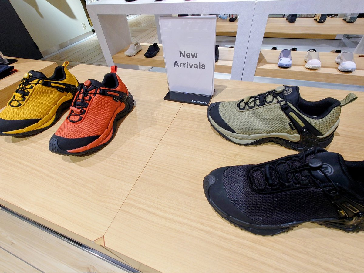 えびてつ🦐🦞 tweet media