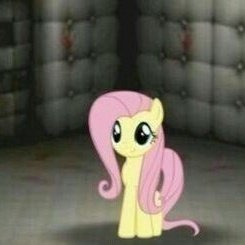 anis estrelado tweet media