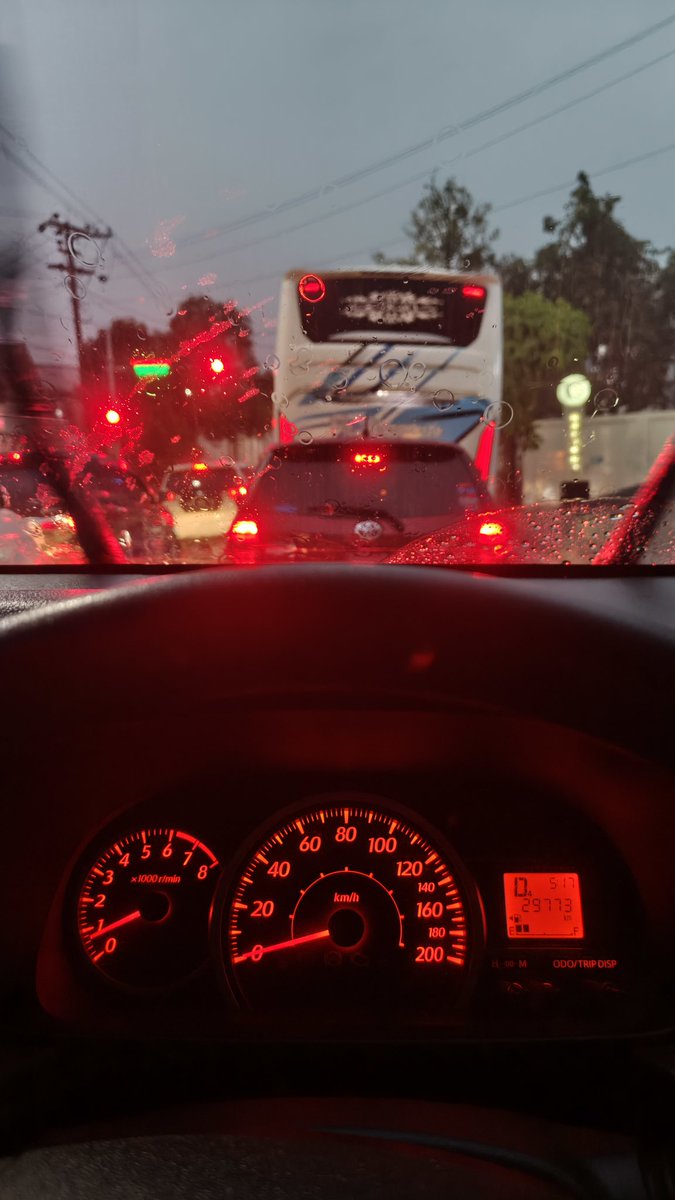 maufirda tweet media