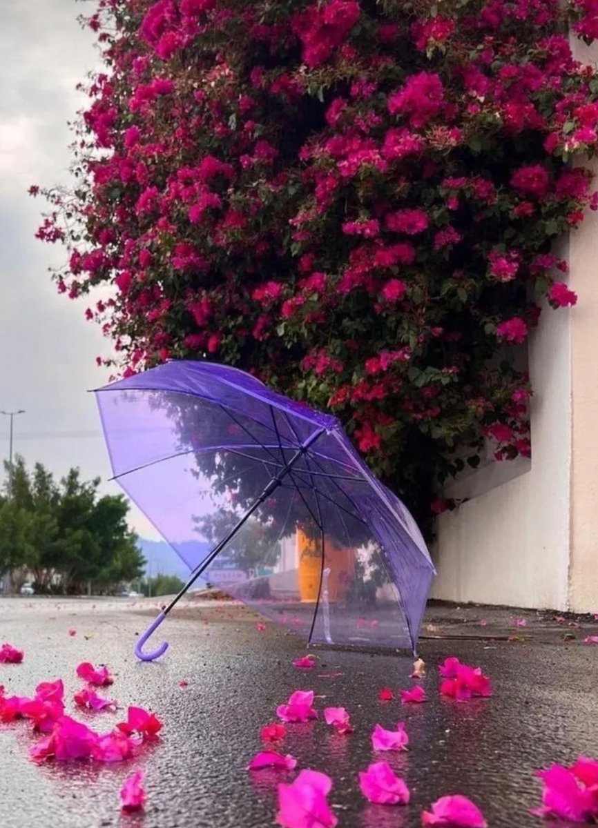 •нυssɪєи• tweet media