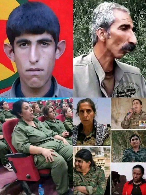 ZombiCemal tweet media