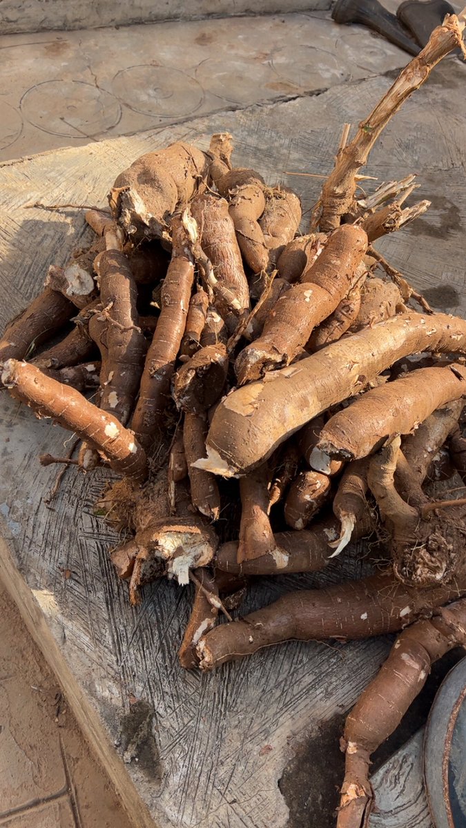 jxlocco🏄🏻‍♂️ tweet media