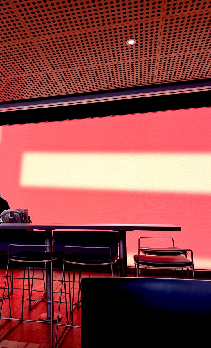 Red Panda Allocator 无孩爱猫男 (It/They) tweet media