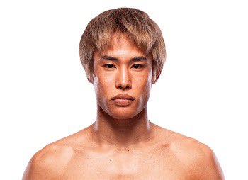 Blind Bear 🐻🕶️ tweet media