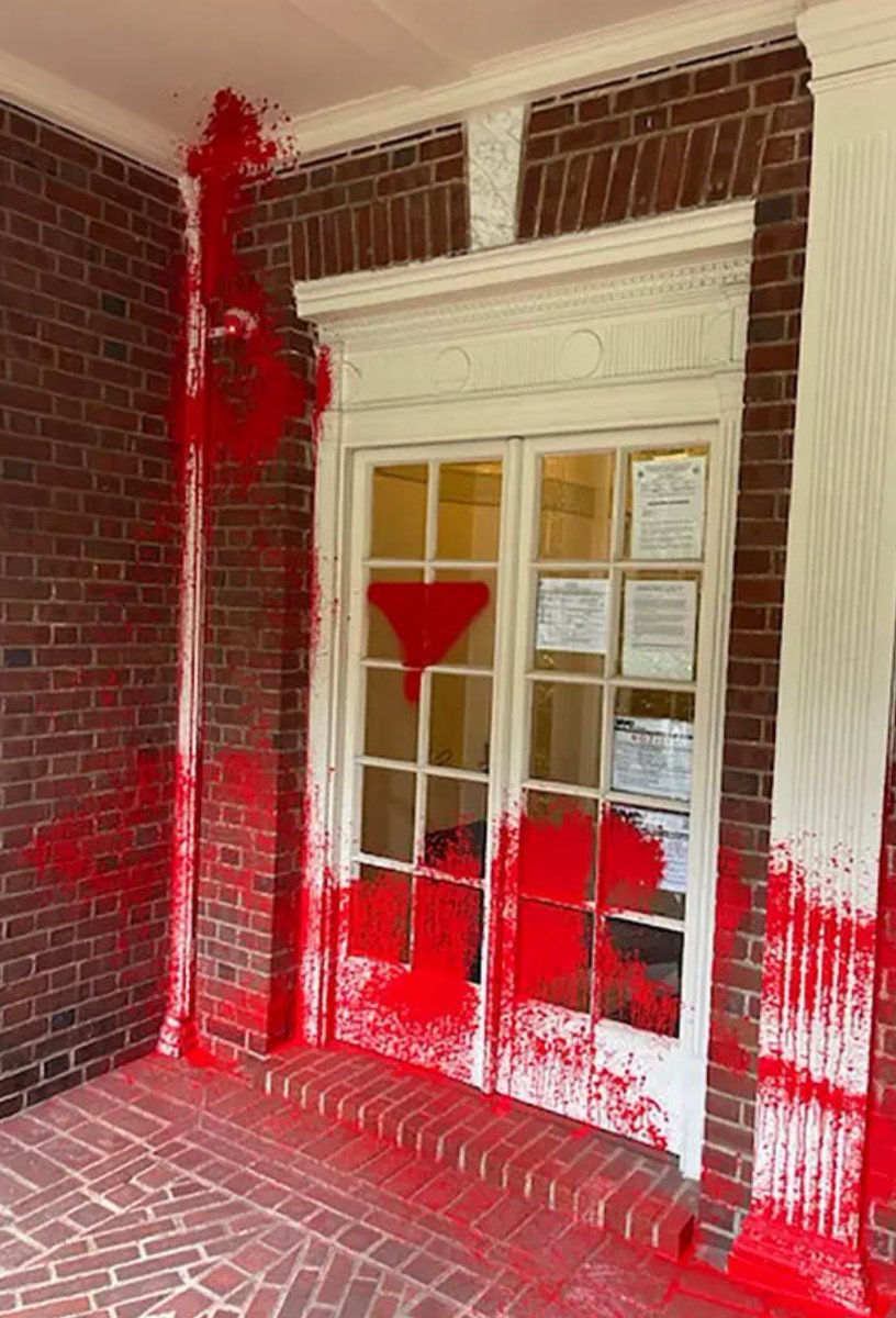 Based Jew tweet media