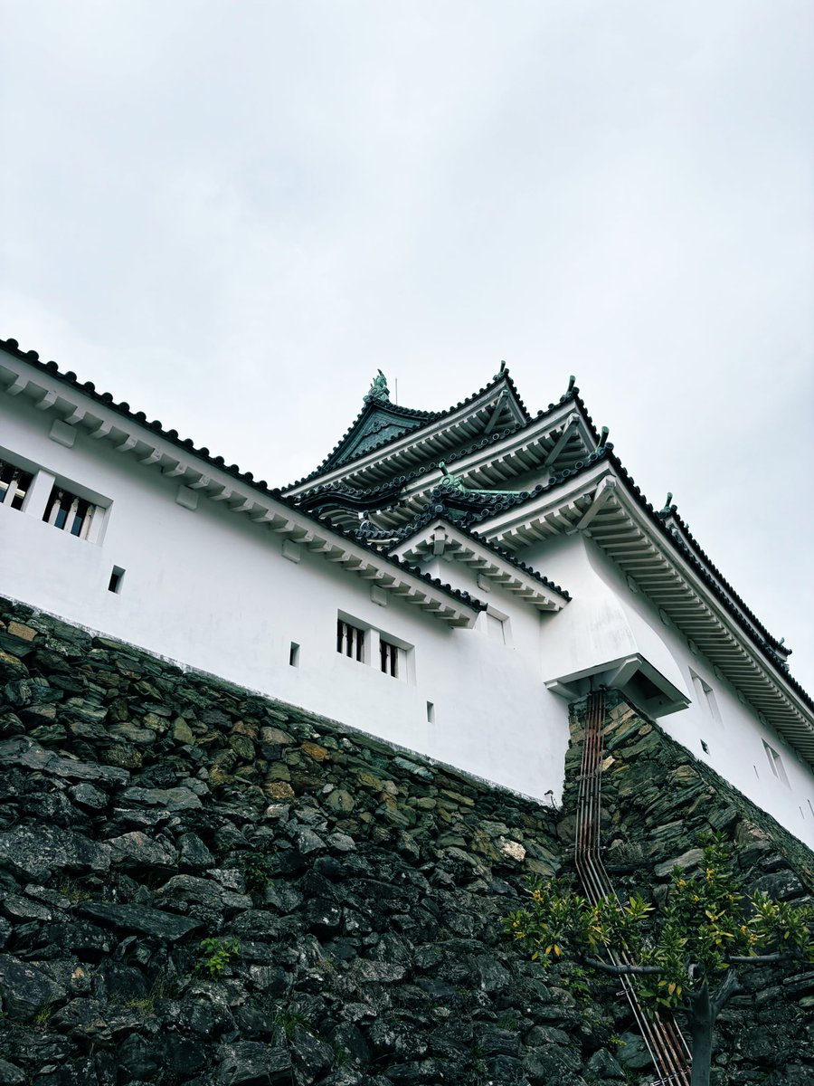 ぬまさん tweet media