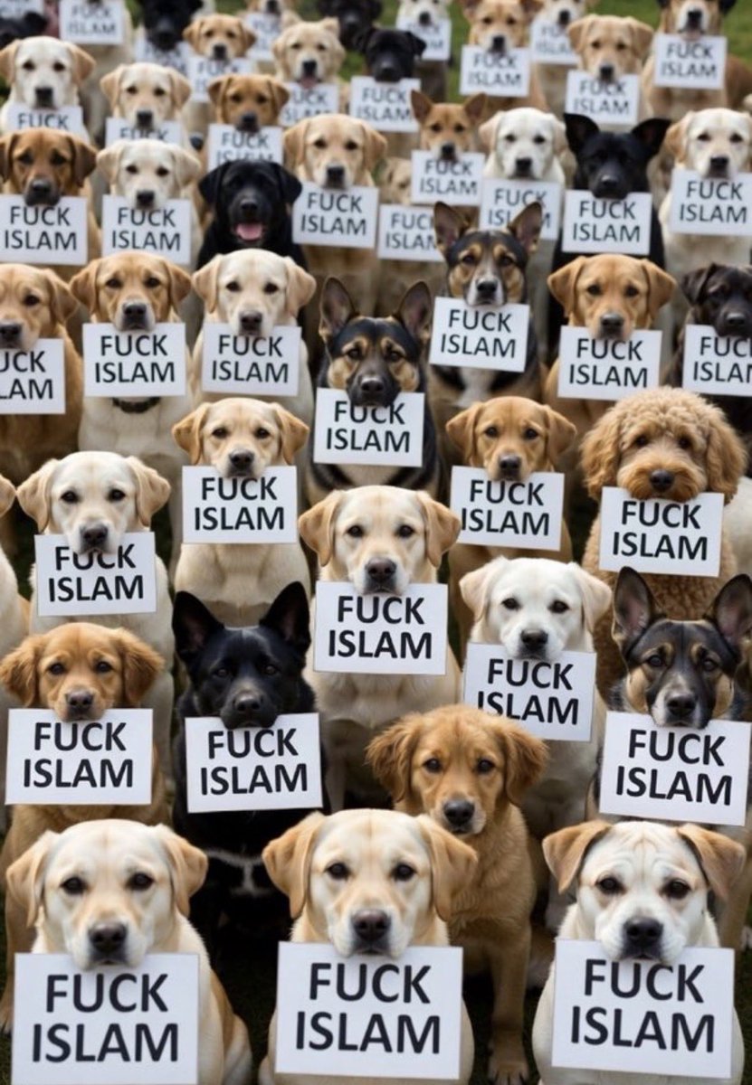 1959Goldstein's tweet photo. @hrkbenowen DOGS: UNCONDITIONAL LOVE😍🐶🐕👍
ISLUM : UNCONDITIONAL HATRED😠😤😡🤬🖕👎
#GodBlessIsrael🇮🇱
#GodBlessAmerica🇺🇸
#GodHelpAmerica🇺🇸
#GodSaveAmerica🇺🇸
#GodSaveNYC🗽
#GodBlessPresidentTrump
#TrumpSaveAmerica🇺🇸
#TrumpSaveTheWorld🌎
#TrumpFightFightFight
#MassDeportationsNow
#StopIran https://t.co/CbSj9dGuAz