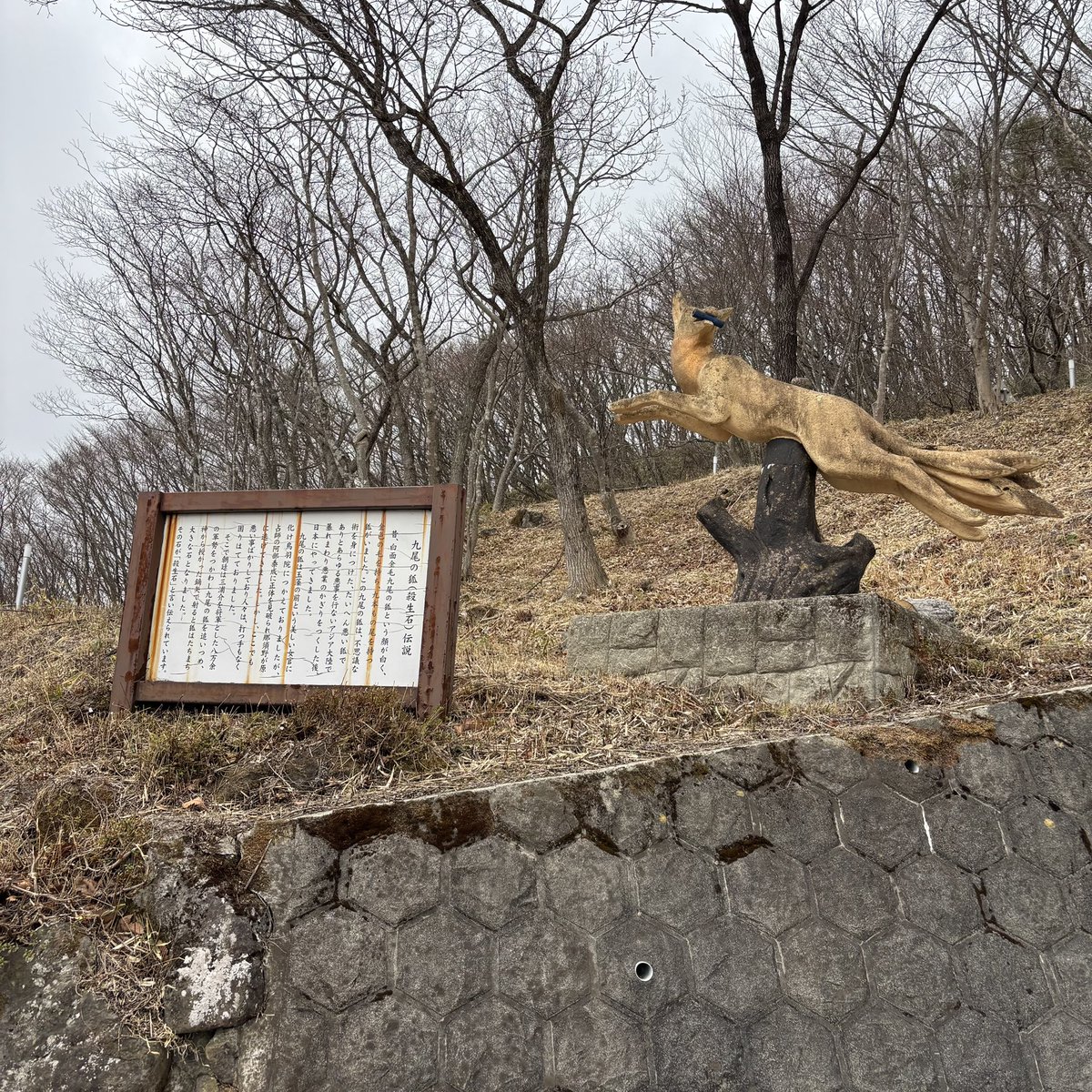 オサキ狐のアサキ tweet media