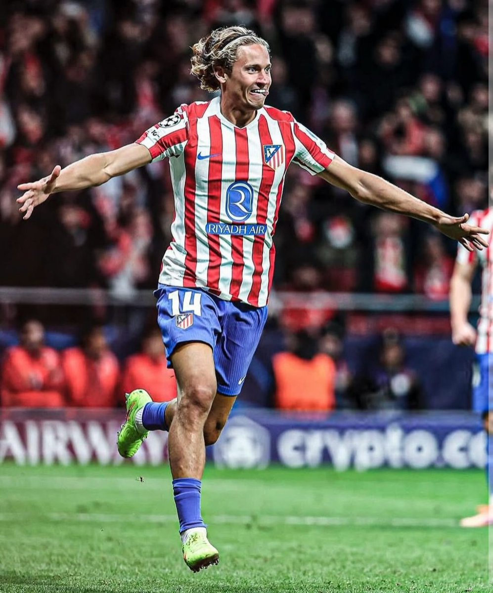 cholobus tweet media