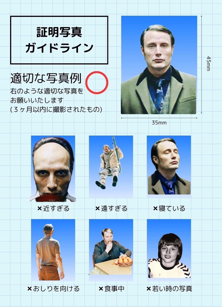 猫㌠🐾ブルーで🥩 tweet media