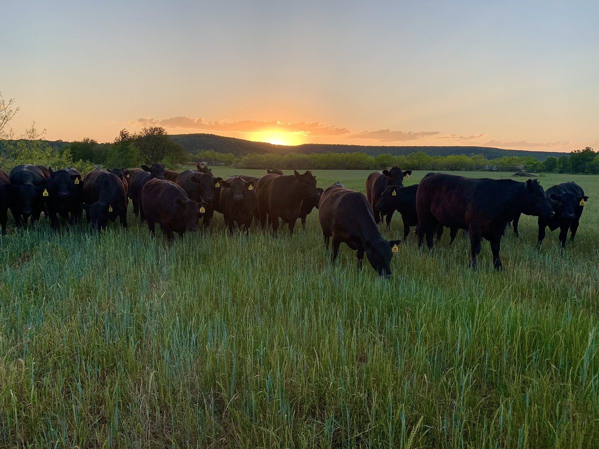 JB and family tweet media