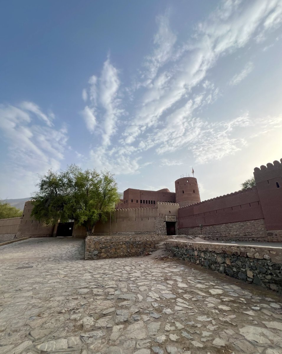 شَمس. tweet media