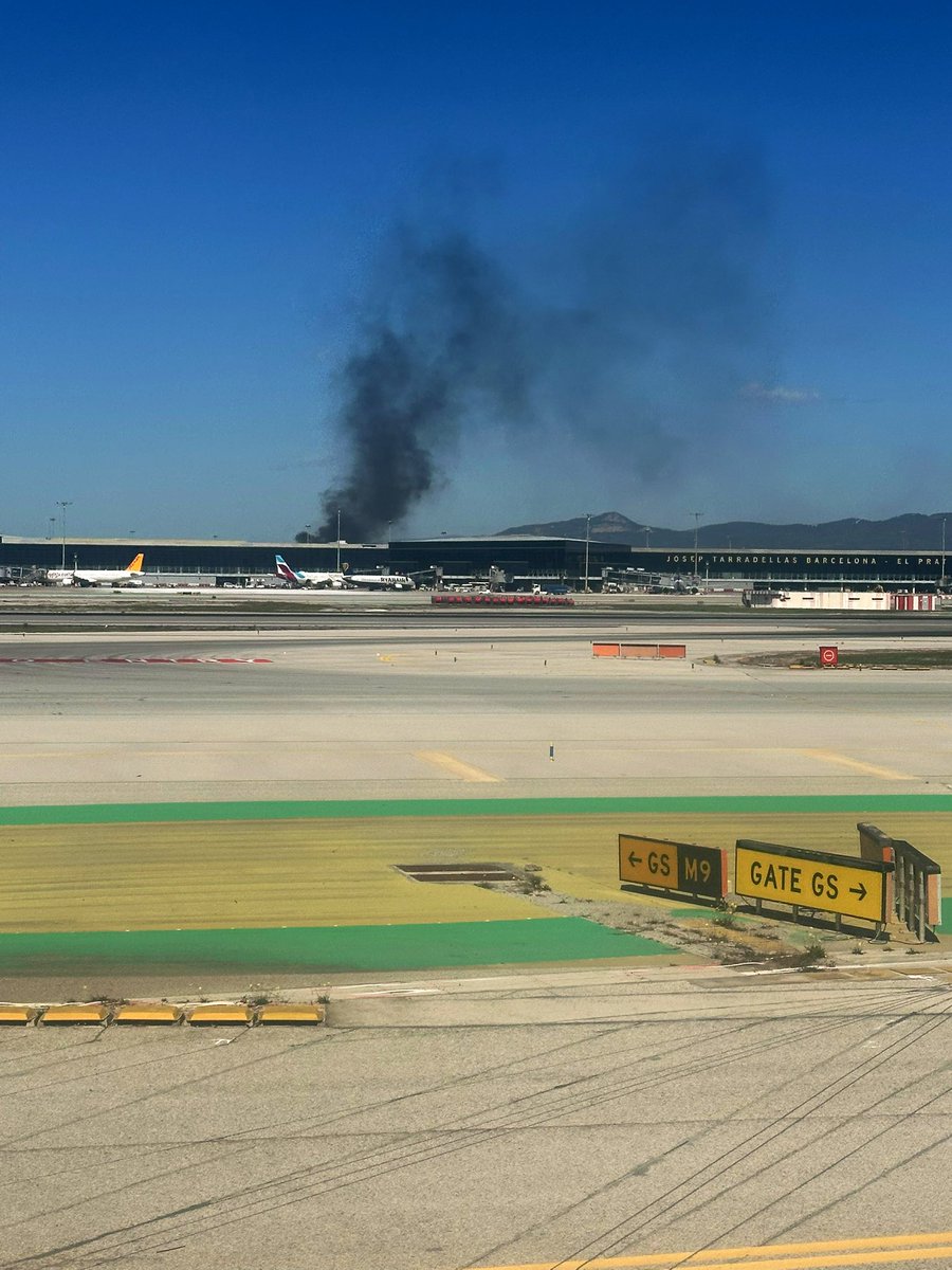 Maria Ines Rubio ✈️💛 tweet media