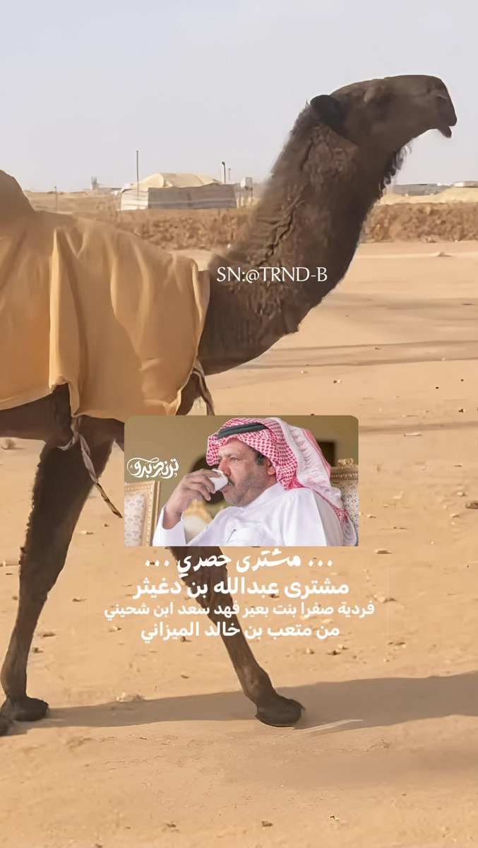 ترند بدو tweet media