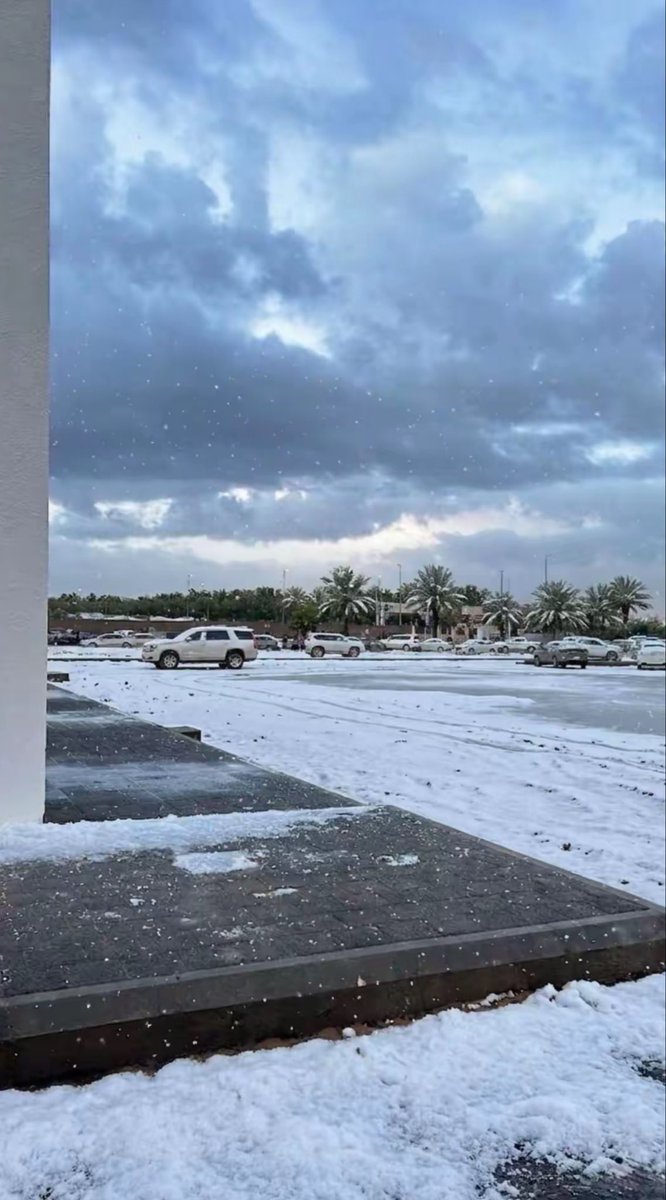 الدحمي tweet media